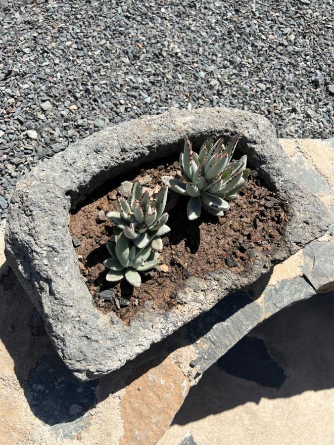 Casa Rural Con Bano Adaptado Y Piscina En Mogán Dış mekan fotoğraf